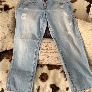 Plus size distressed jeans